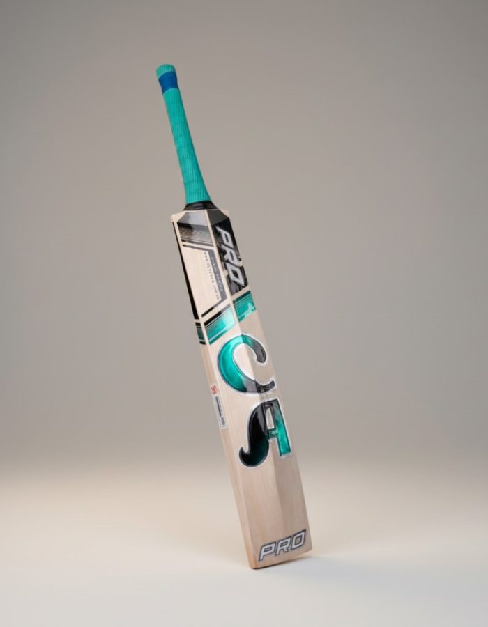 CA Pro 10000 English Willow Cricket Bat